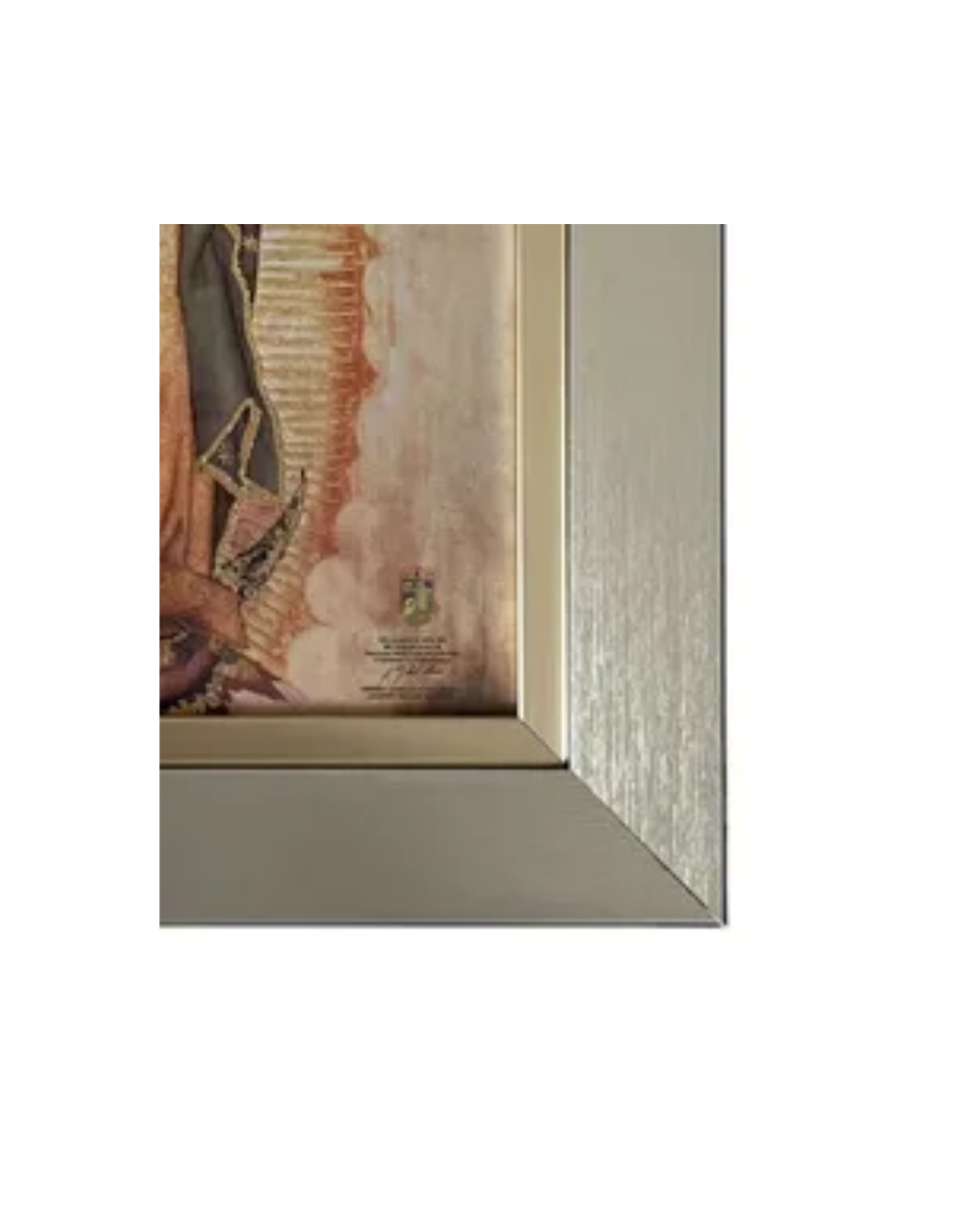 Cuadro Virgen De Guadalupe 29x34 Marco Liso