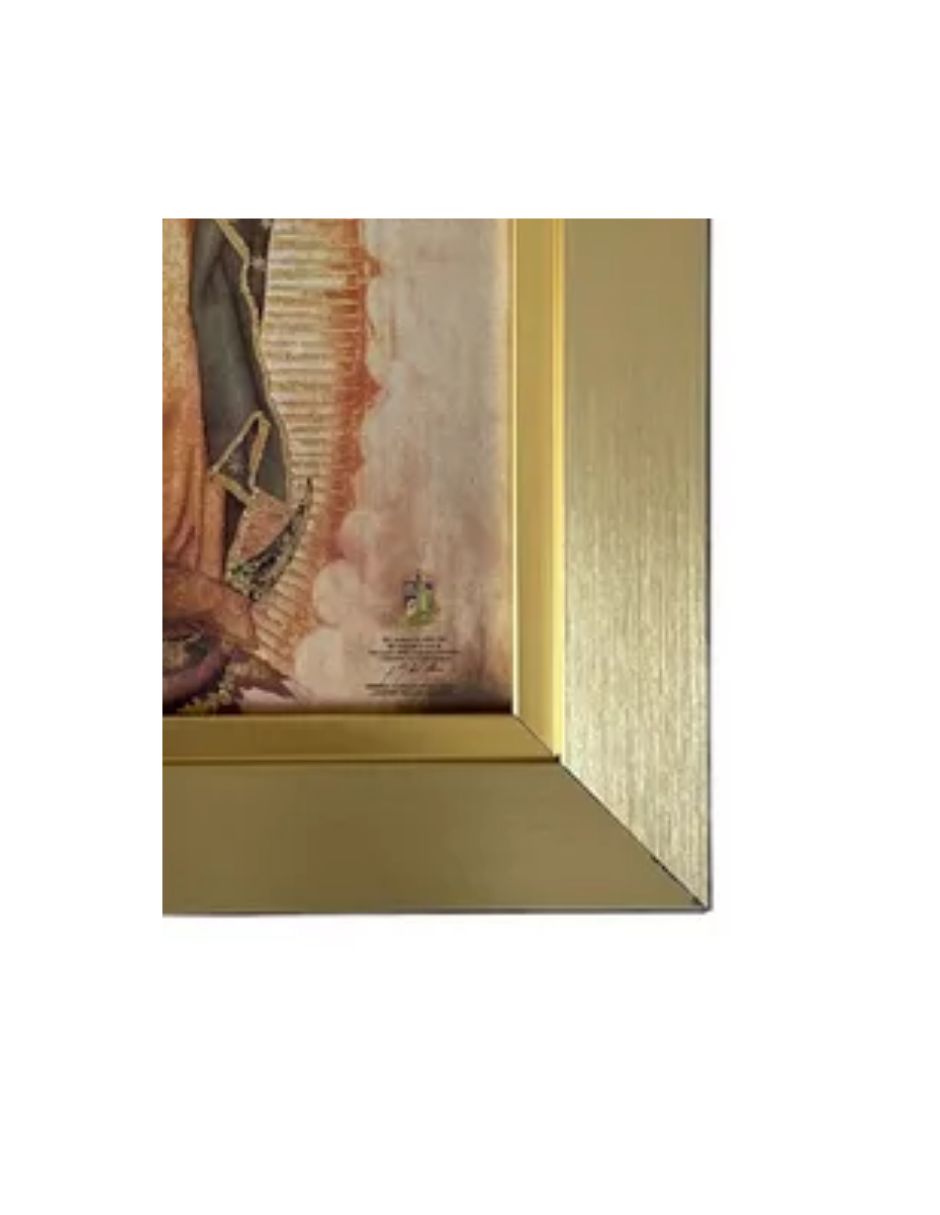Cuadro Virgen De Guadalupe 29x34 Marco Liso