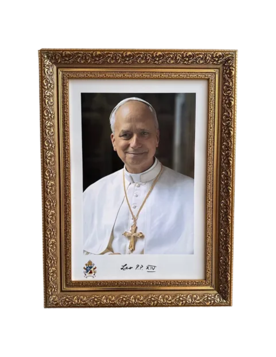 Cuadro Papa León Xiv 38x50