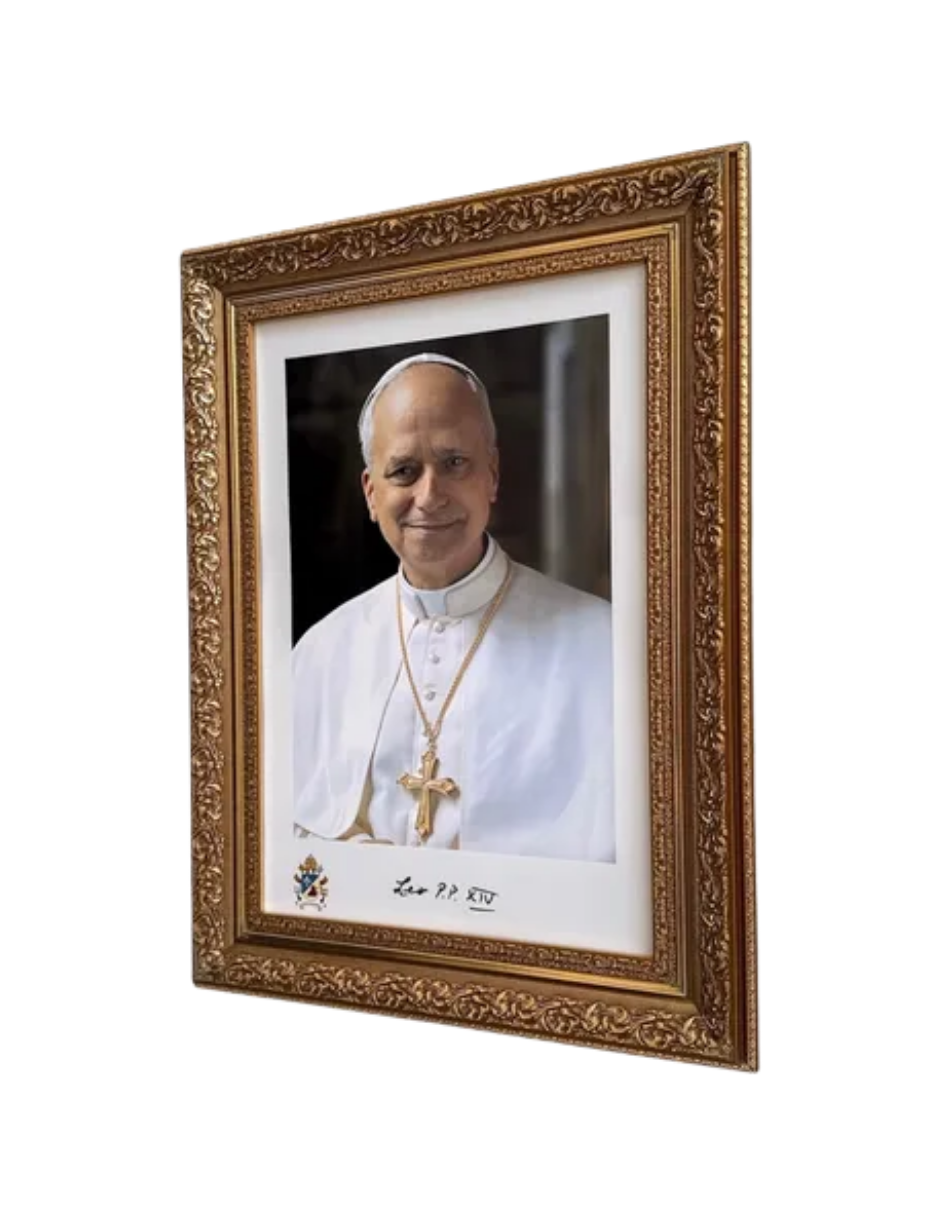 Cuadro Papa León Xiv 38x50